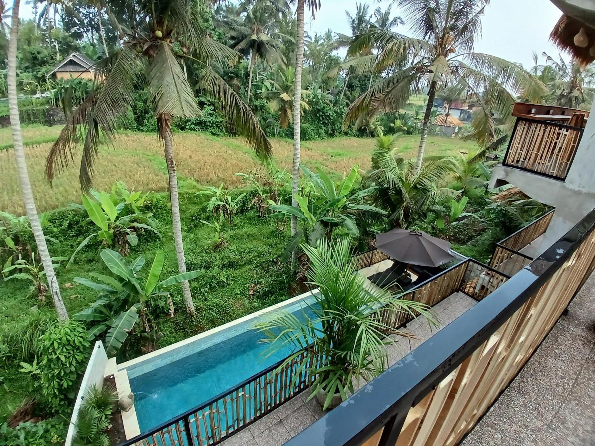 Bali View Ubud Hotel מראה חיצוני תמונה