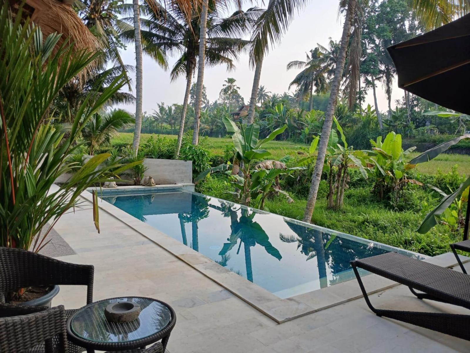 Bali View Ubud Hotel מראה חיצוני תמונה